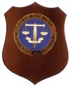 F160_GDF_SEZIONE_DI_POLIZIA_GIUDIZIARIA
