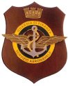 F161_GDF_SERVIZIO_AEREONAVALE