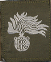 FIAMMA_CARABINIERI_BIANCA