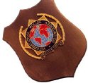 IP1_INTERNATIONAL_POLICE_ASSOCIATION