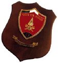 VVF4_VIGILI_DEL_FUOCO_SCUDO