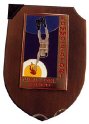 VVF5_VIGILI_DEL_FUOCO_SOMMOZZATORI