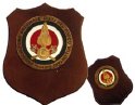 VVF_15_ASSOCIAZIONE_NAZIONALE_VIGILI_DEL_FUOCO_VOLONTARI
