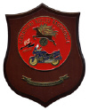 08154 CNT TONDO