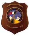 F143_GDF_SCUOLA_ALPINA_GUARDIA_DI_FINANZA_PREDAZZO