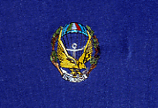 incursori