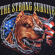 america4768