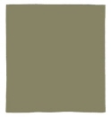 04504 BANDANA VERDE