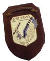 AM22_8°_STORMO