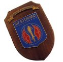 AM33_50°_STORMO