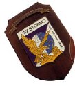 AM38_70°_STORMO