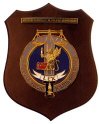 F155_GDF_I_GRUPPO_DI_SEZIONE_POLIZIA_GIUDIZIARIA