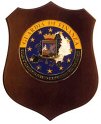 F158_GDF_NUCLEO_SPECIALE_SPESA_PUBBLICA_E_REPRESSIONI_FRODI_COMUNITARIE