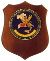 F159_GDF_SERVIZIO_CENTRALE_D'INVESTIGAZIONE_CRIMINALITA'_ORGANIZZATA