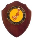 F169_GDF_SERVIZIO_AEREO