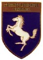 F49_GDF_COMANDO_REGIONALE_CAMPANIA