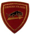 P22_PS_SQUADRA_VOLANTE