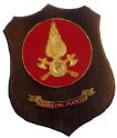 VVF1_VIGILI_DEL_FUOCO_TONDO