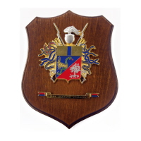 C97_1°_ARALDICO_CC