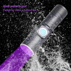 torcia uv 2